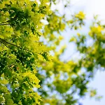 农家乐 Quinta Do Rio Geres