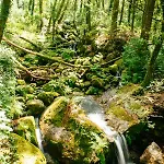 农家乐 Quinta Do Rio Geres *