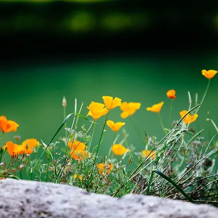 Quinta Do Rio Geres *