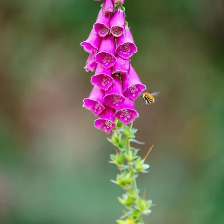 Quinta Do Rio Geres *