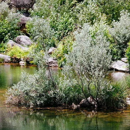 בית חווה Quinta Do Rio Geres