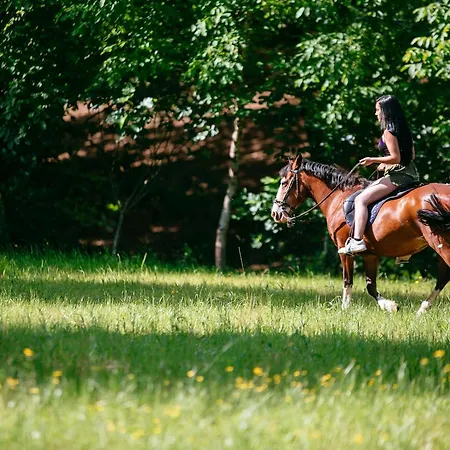 Quinta Do Rio Geres *