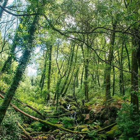 Quinta Do Rio Geres * Bouro