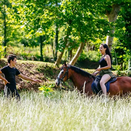 Lantgård Quinta Do Rio Geres *