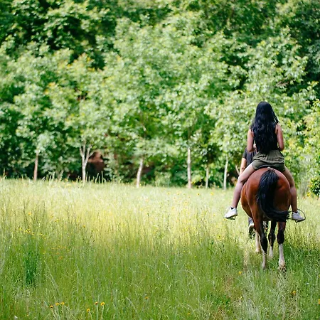 Quinta Do Rio Geres *