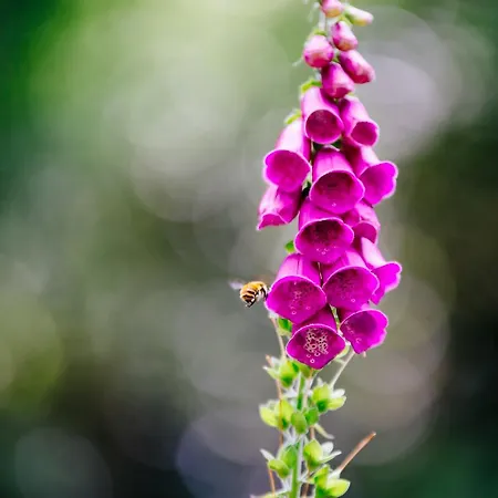 Quinta Do Rio Geres Lantgård *