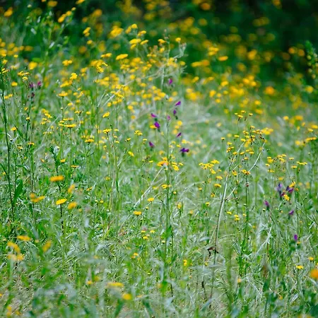 Quinta Do Rio Geres Bouro