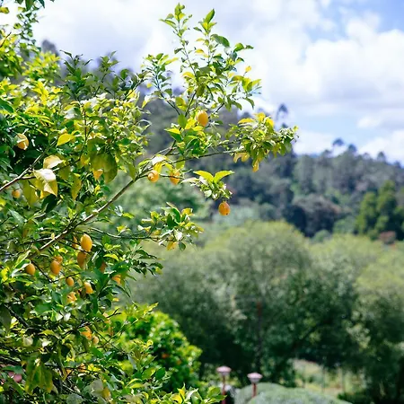 Quinta Do Rio Geres *