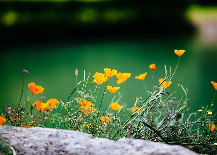 Quinta Do Rio Geres *