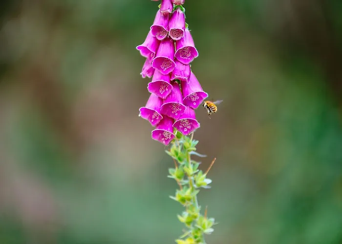 Quinta Do Rio Geres *