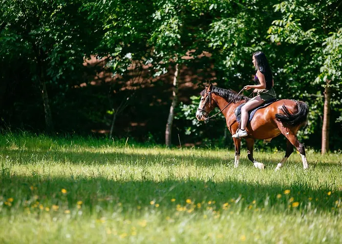 Quinta Do Rio Geres *