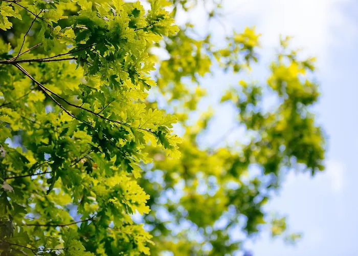 Agroturismo Quinta Do Rio Geres