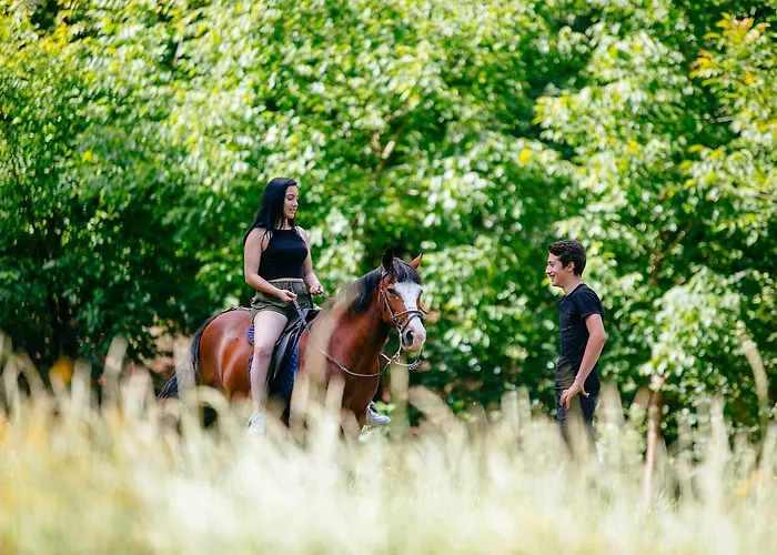 Quinta Do Rio Geres *