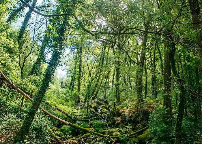 Quinta Do Rio Geres * Bouro