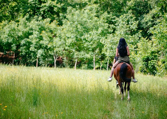 Quinta Do Rio Geres *