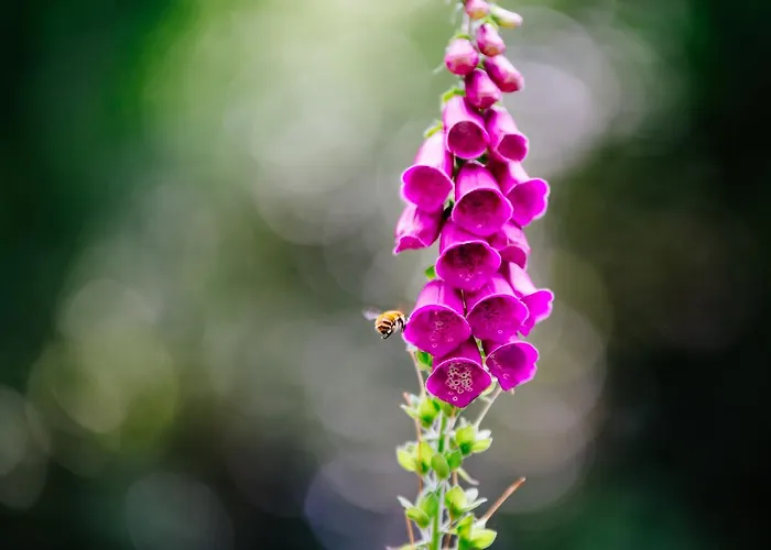 Quinta Do Rio Geres Vakantieboerderij *