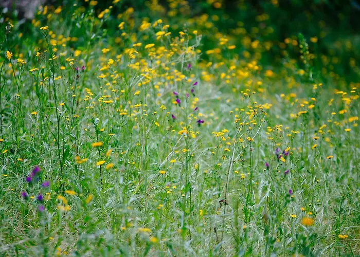 Quinta Do Rio Geres Bouro