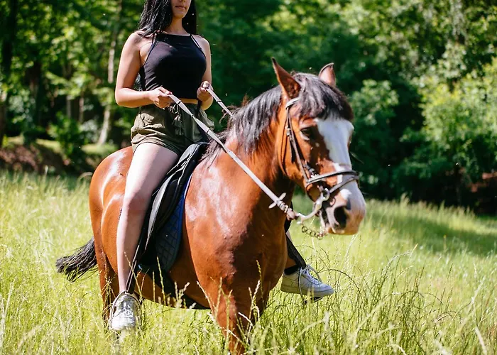 Quinta Do Rio Geres Bouro