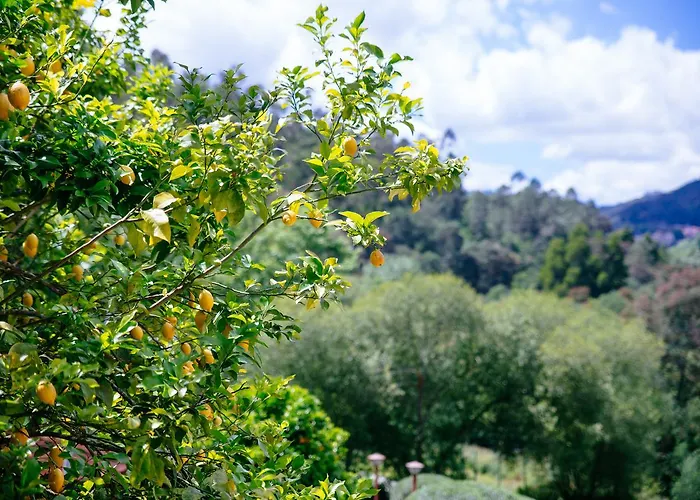 Quinta Do Rio Geres *